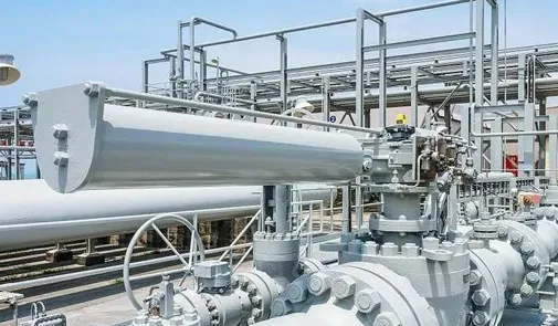 مقدمة عن صمام الفحص